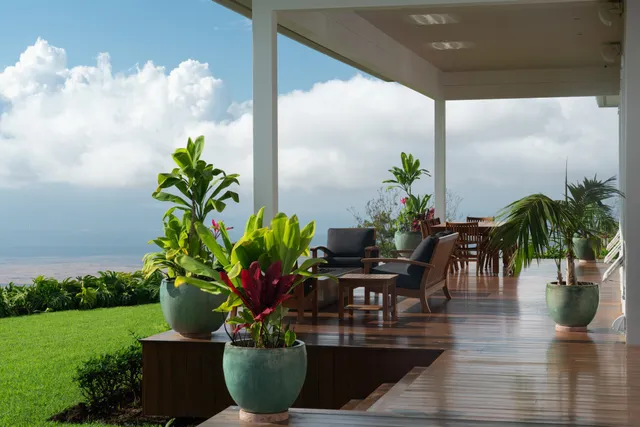 a view of a potted flower in a garden