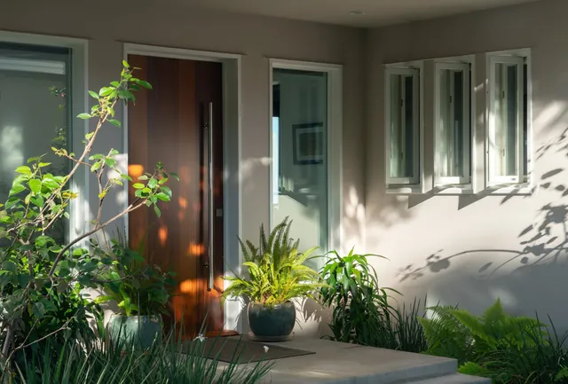 a potted plant sitting in front of a house