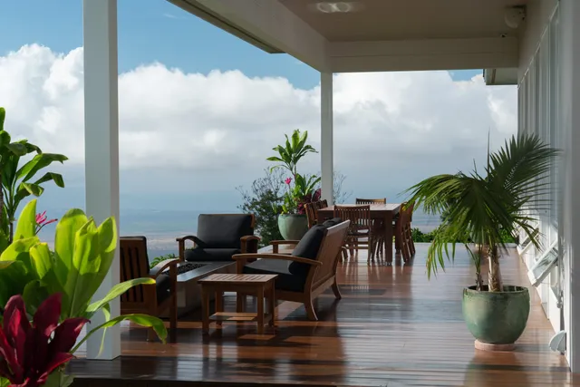 a view of a potted plants with a table and chair