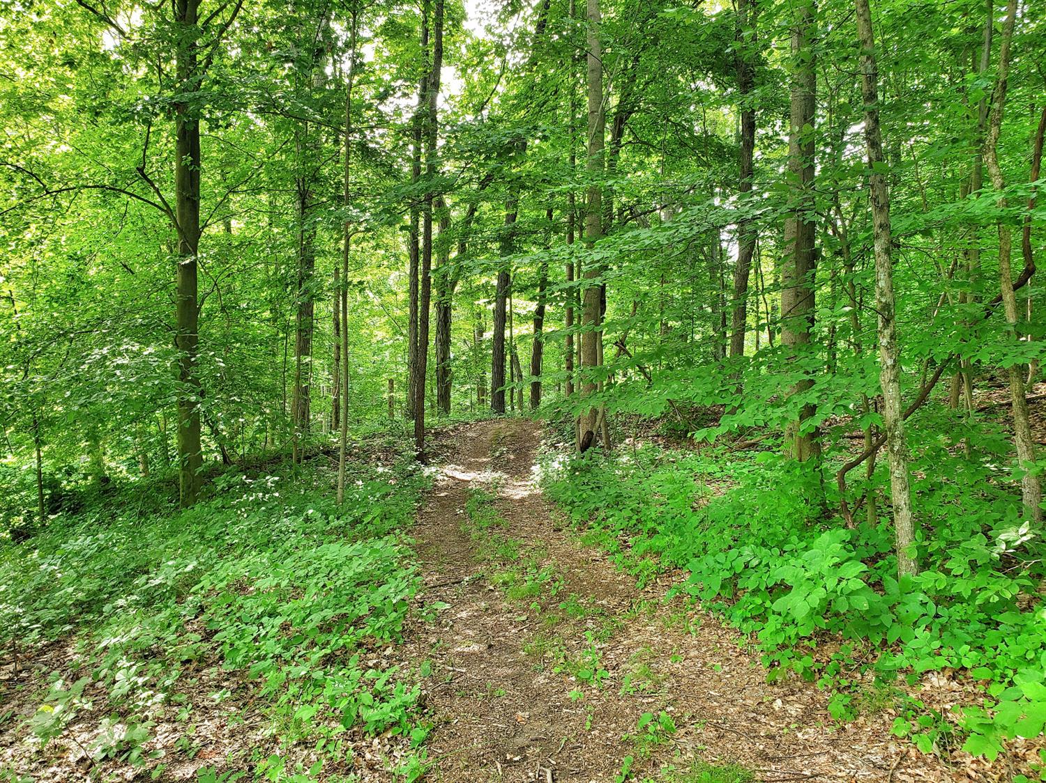 19022 Stone Church Road Laurel, IN 47024 - Photo 28 of 29 Gallery Image 28