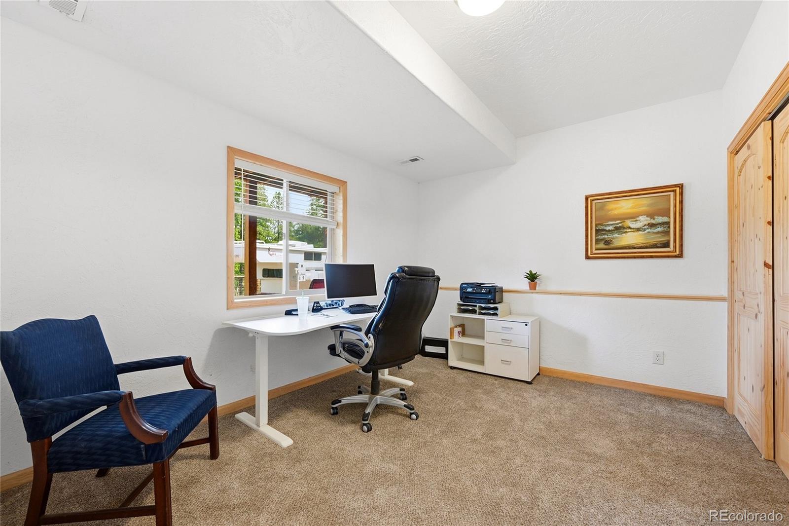 705 Gold Flake Terrace Bailey, CO 80421 - Photo 27 of 48
