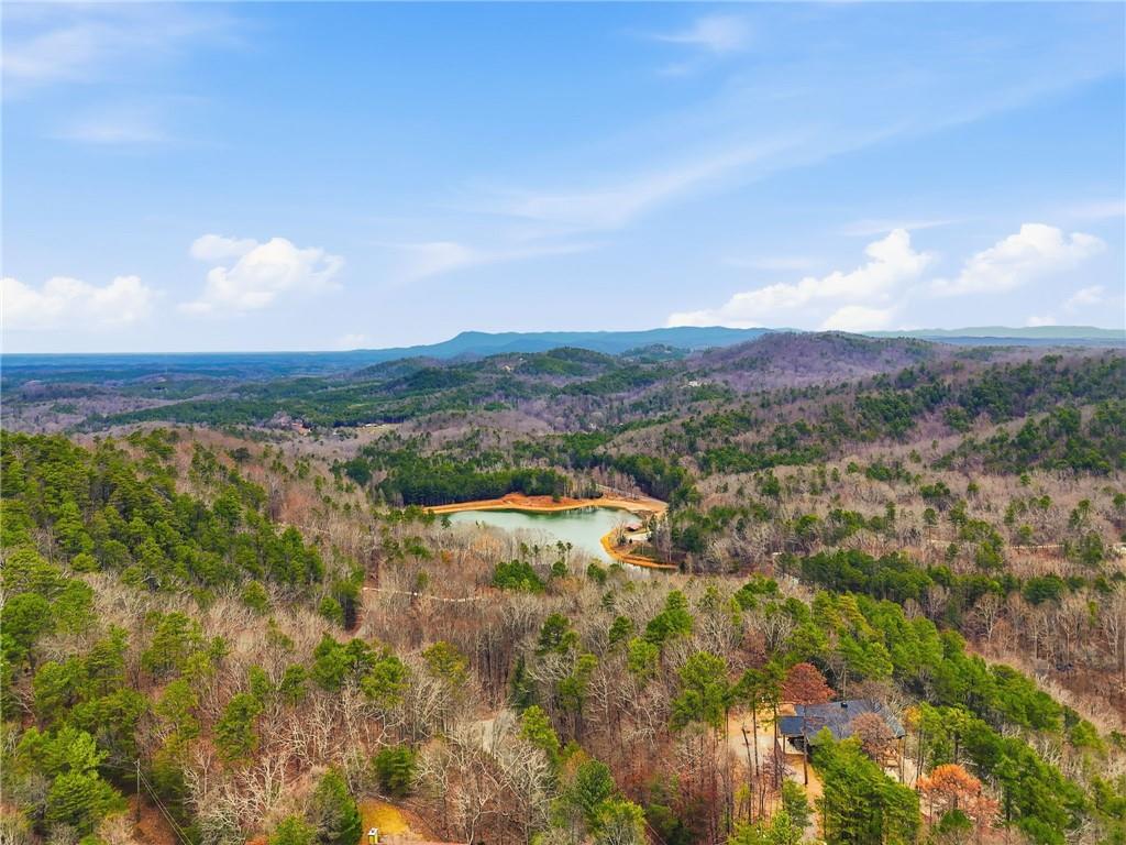 185 Stirratt Road Ranger, GA 30734 - Photo 43 of 47