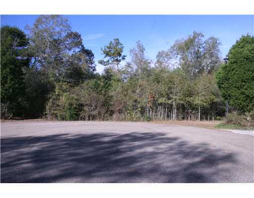 Longcoy Perkinston, MS 39573 - Photo 1 of 3 Primary Photo