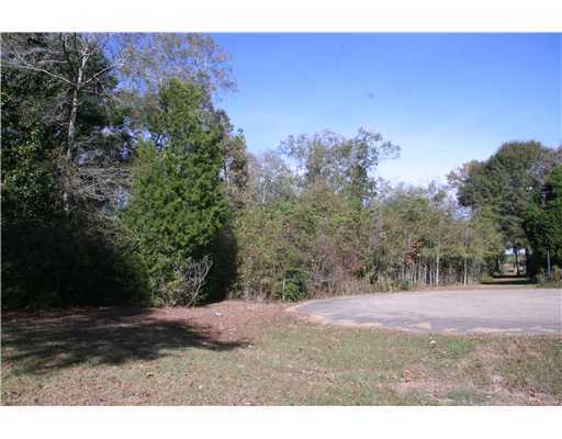 Longcoy Perkinston, MS 39573 - Photo 3 of 3 Additional Photo