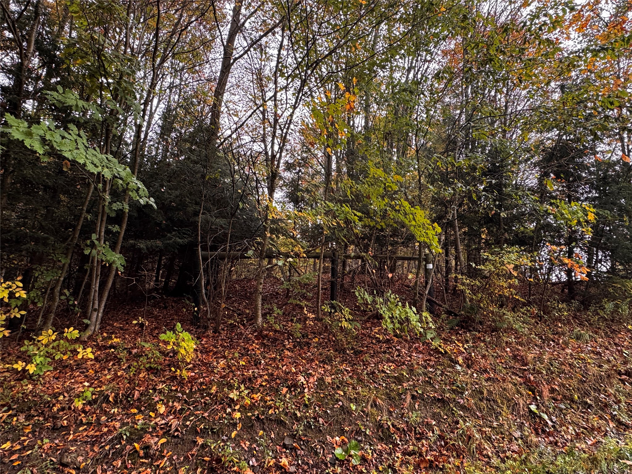 Lot 1 Dobbs Road Centerville, PA 16404 - Photo 1 of 9 a view of a garden
