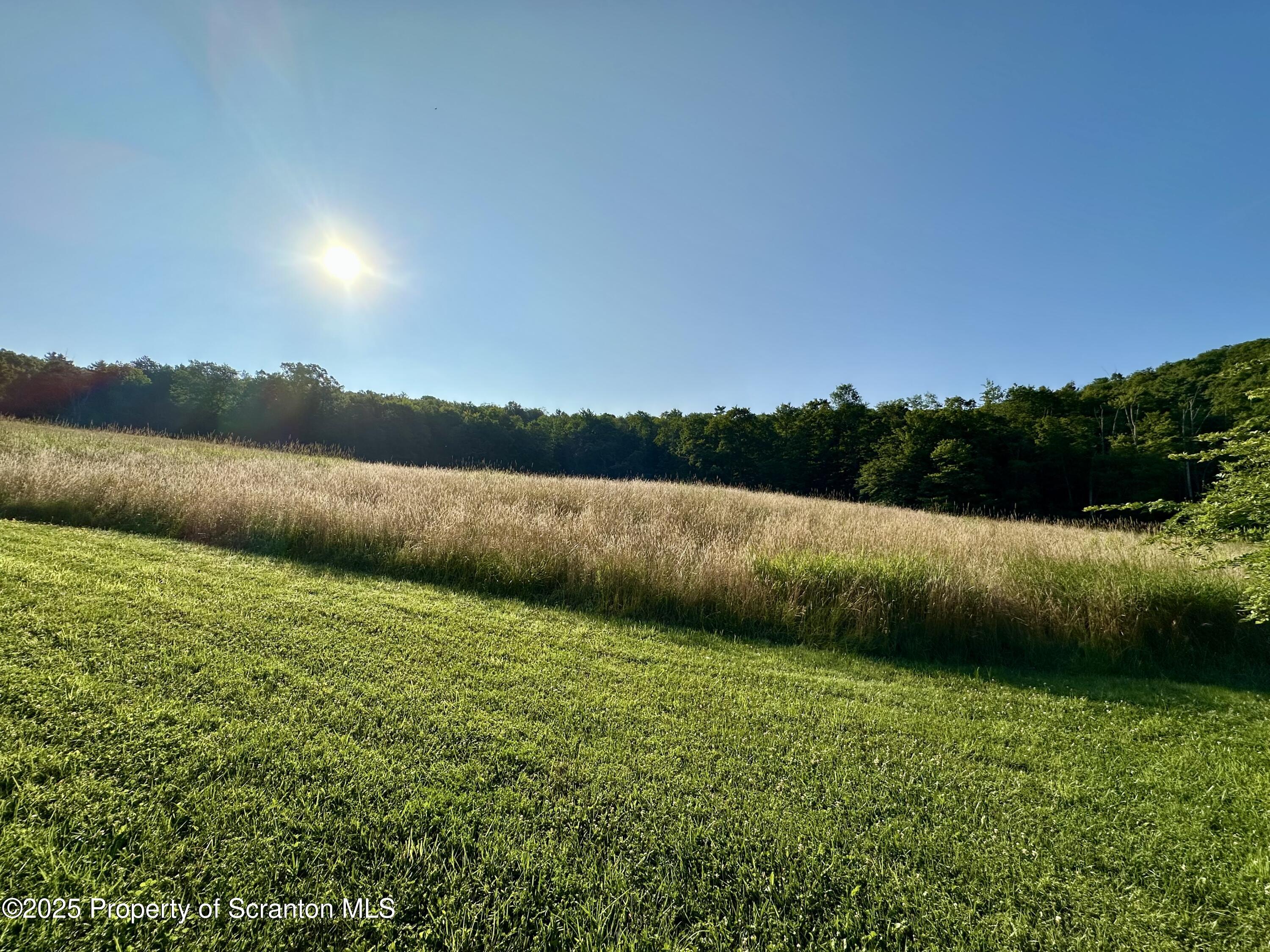 5290 Irish Hill Road Montrose, PA 18801 - Photo 64 of 67 a view of a lake with a yard