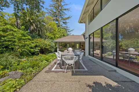 a view of a backyard with plants and large trees