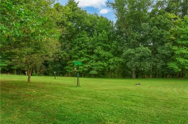 a view of a trees in a park
