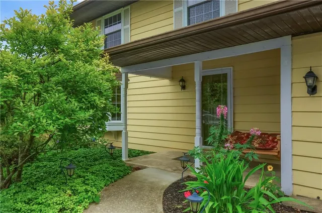 a view of a backyard with plants and large tree