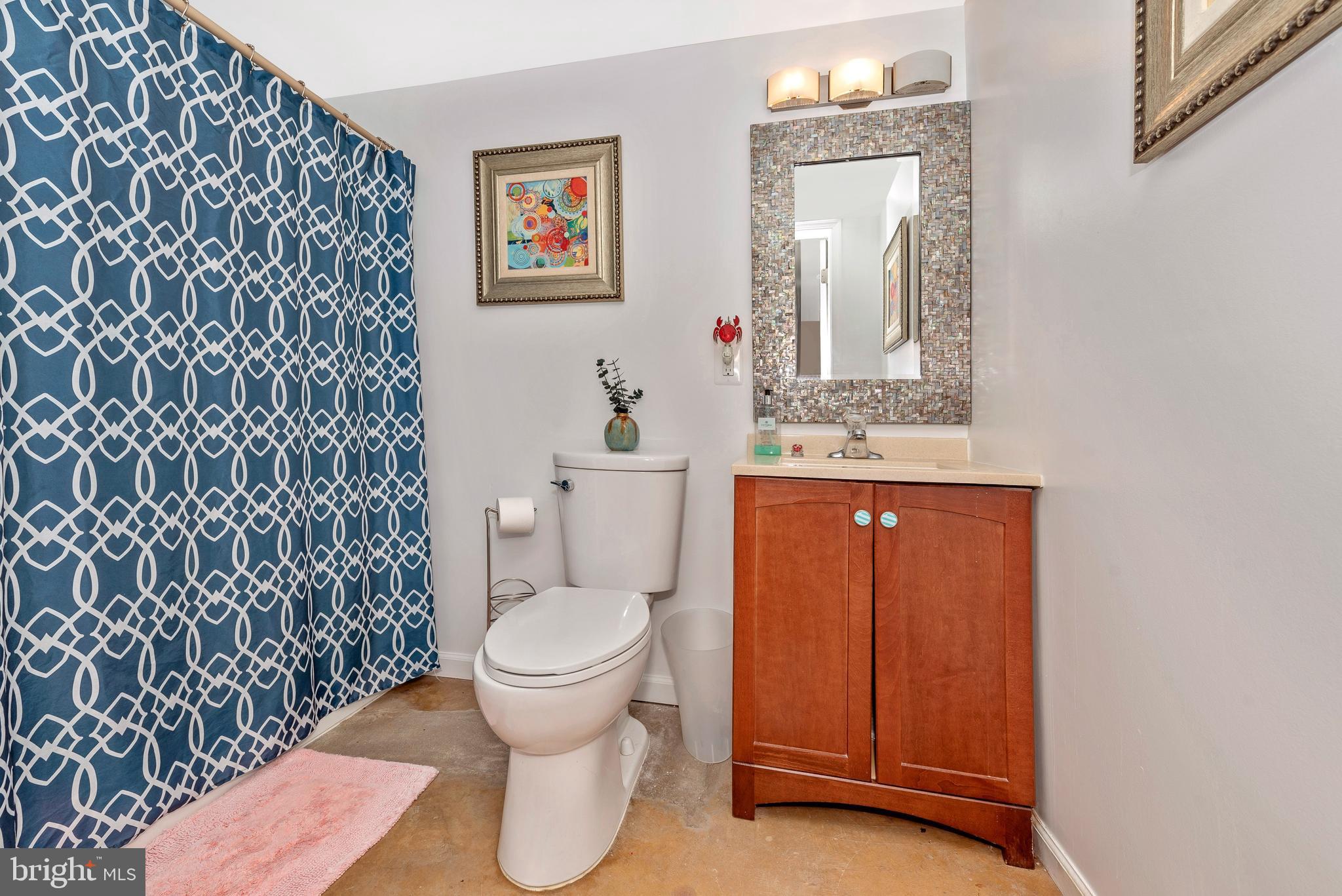 4830 Teen Barnes Road Frederick, MD 21703 - Photo 36 of 59 Lower level bath