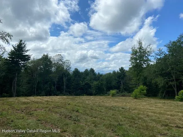 a view of a field of grass and trees
