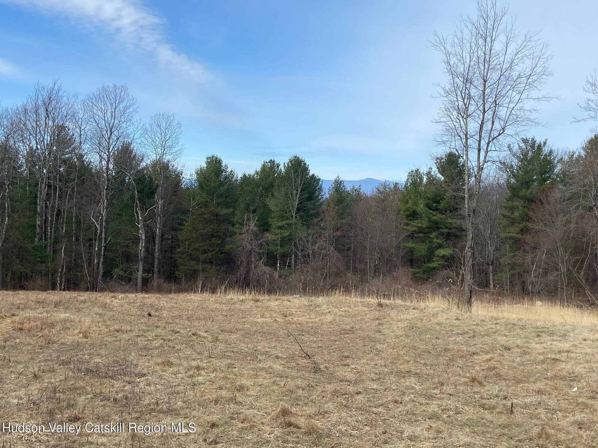 0 Bate Road Craryville, NY 12521 - Photo 2 of 9 a view of a yard