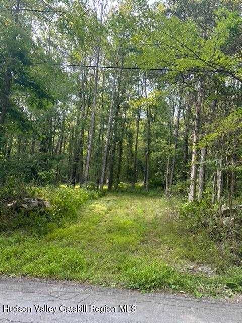 0 Bate Road Craryville, NY 12521 - Photo 3 of 9 a view of a yard with a tree