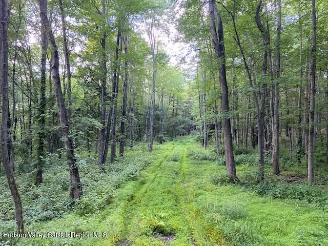 0 Bate Road Craryville, NY 12521 - Photo 4 of 9 a view of forest