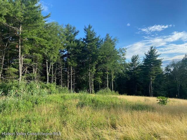 0 Bate Road Craryville, NY 12521 - Photo 5 of 9 a view of a lake view