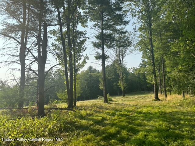 0 Bate Road Craryville, NY 12521 - Photo 6 of 9 a view of outdoor space with trees all around