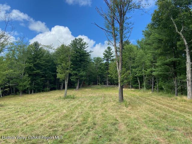 0 Bate Road Craryville, NY 12521 - Photo 7 of 9 a backyard of a house with lots of green space