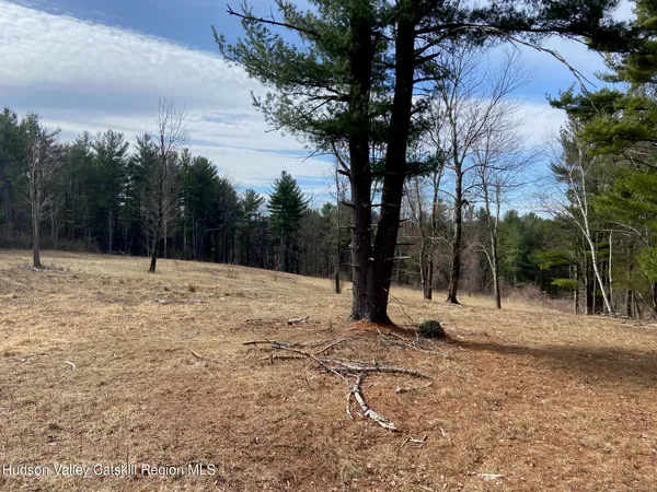 $475,000 | 0 Bate Road, Craryville, NY 12521