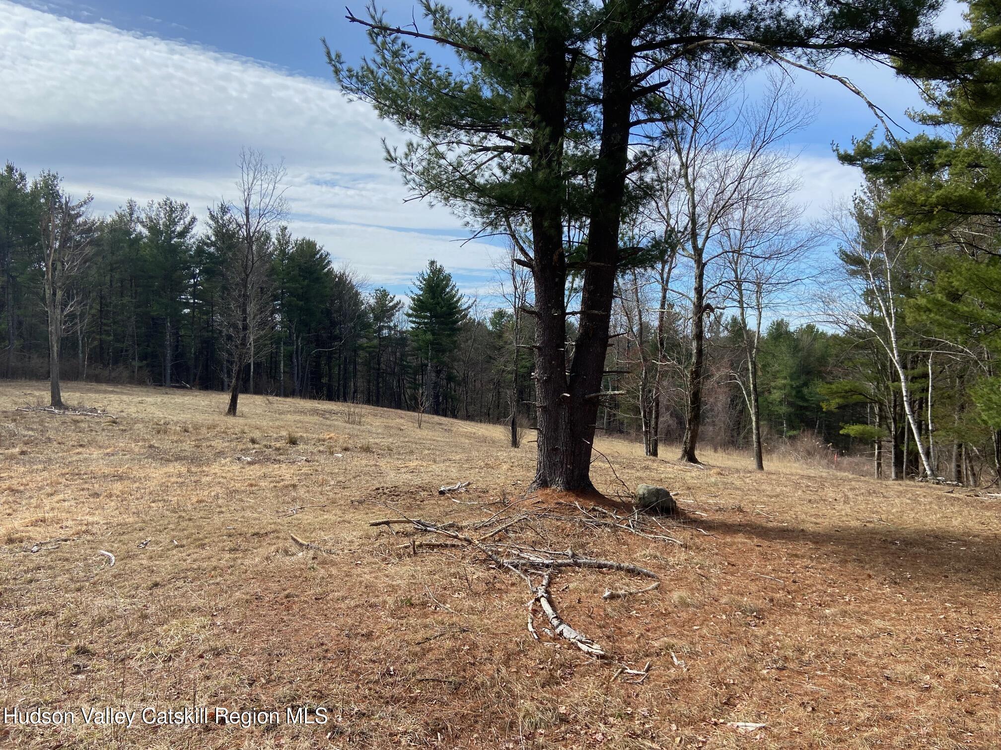 0 Bate Road Craryville, NY 12521 - Photo 8 of 9