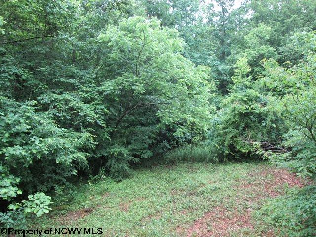 1 Rt Huttonsville, WV 26273 - Photo 8 of 16 Gallery Image 8