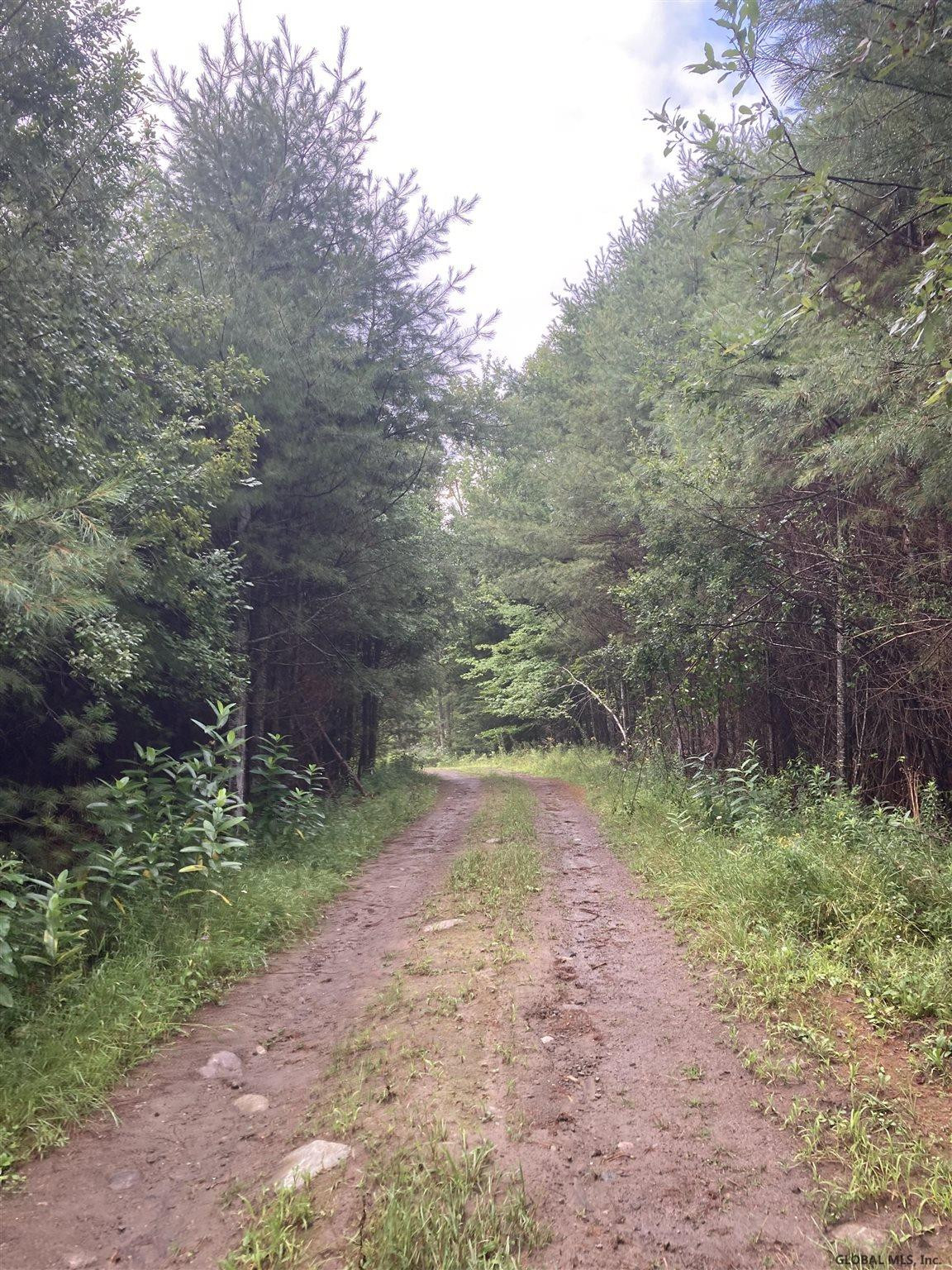 90 Moffitt Road Chester, NY 12817 - Photo 22 of 29 Photo 22