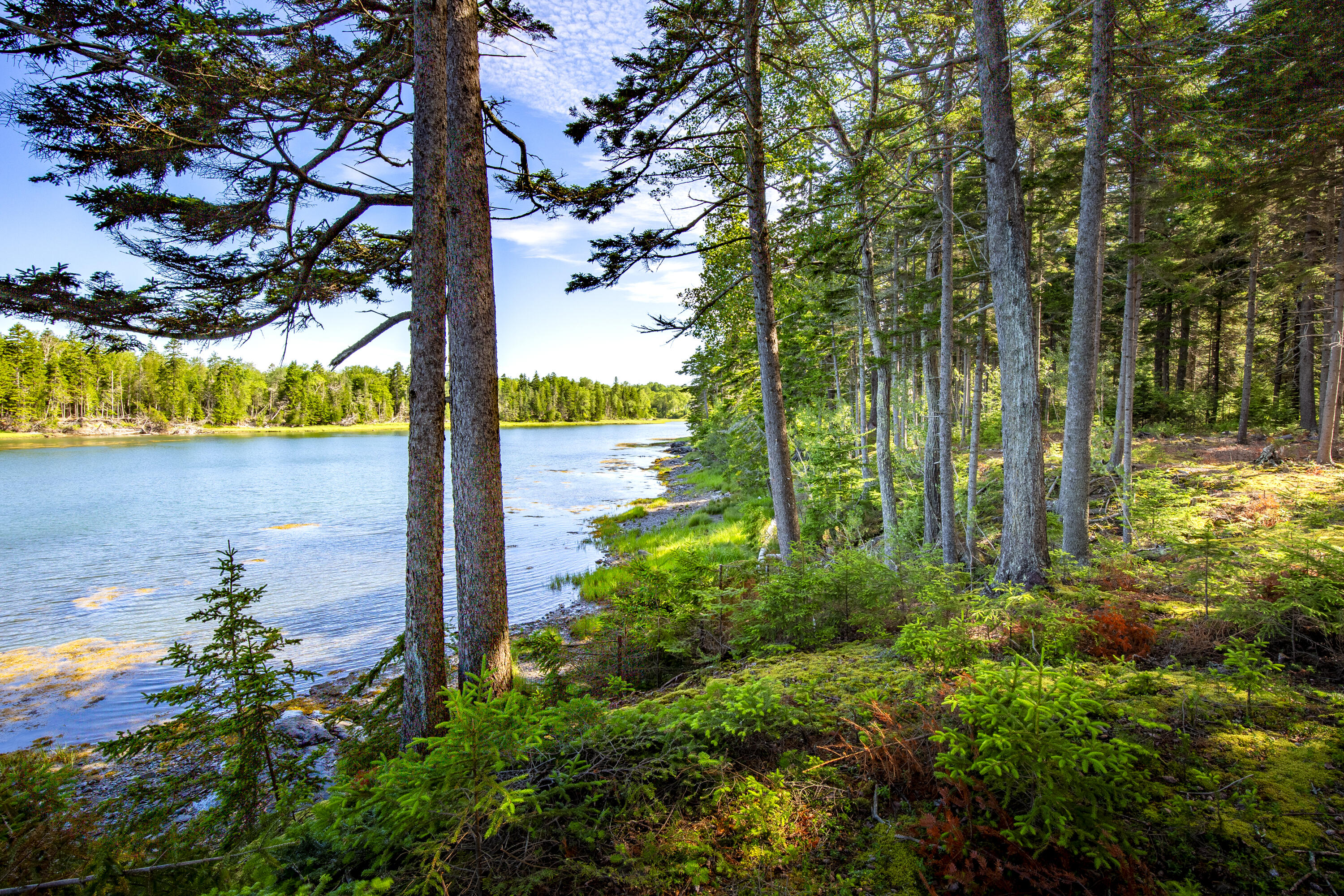 M15-l20-tbd Golf Club Road Islesboro, ME 04848 - Photo 15 of 41