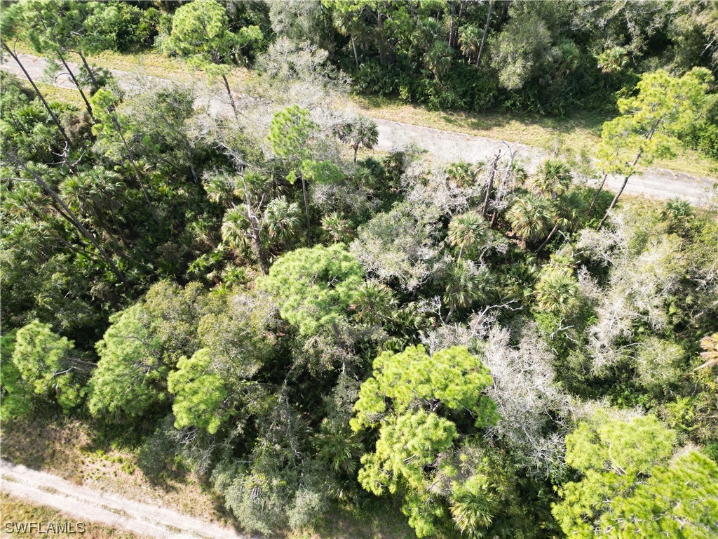 542 Marigold Circle LaBelle, FL 33935 - Photo 2 of 6 a view of a forest with a tree