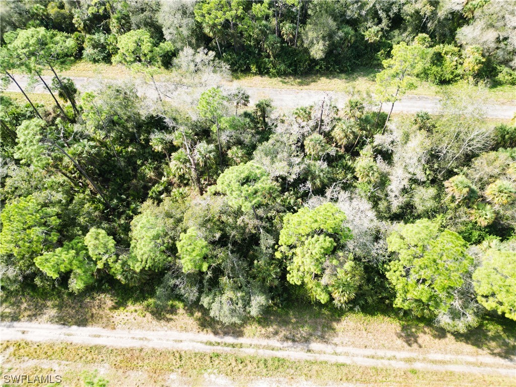 542 Marigold Circle LaBelle, FL 33935 - Photo 3 of 6 a view of a yard