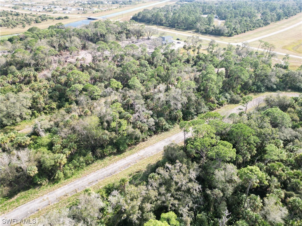542 Marigold Circle LaBelle, FL 33935 - Photo 4 of 6 a view of a forest with a yard