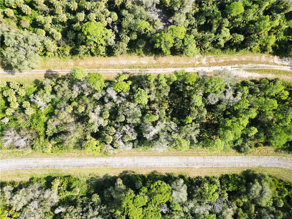 542 Marigold Circle LaBelle, FL 33935 - Photo 6 of 6 a view of a yard with an outdoor space