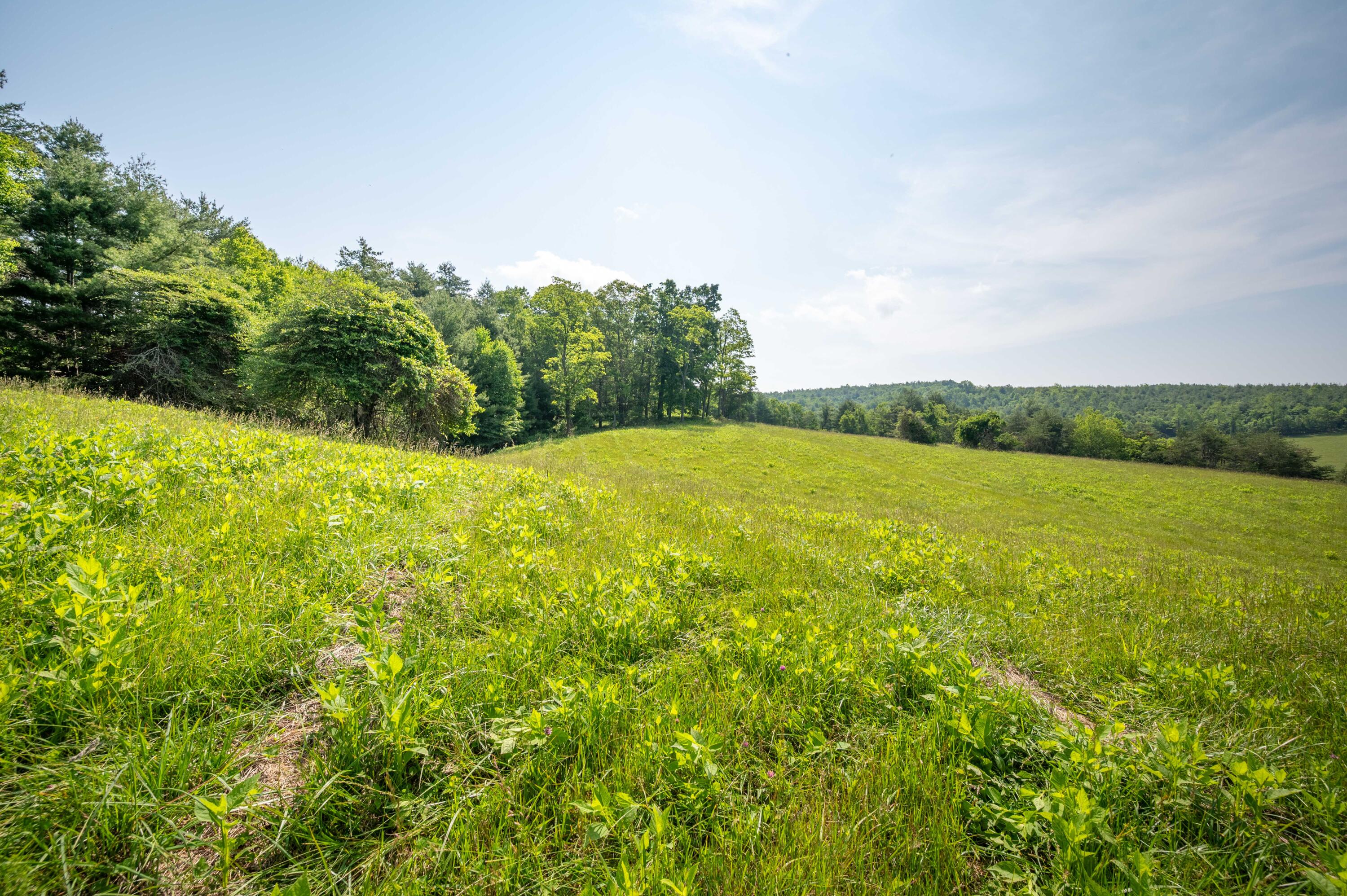1073 Timberline Road Southeast Copper Hill, VA 24079 - Photo 8 of 56 7
