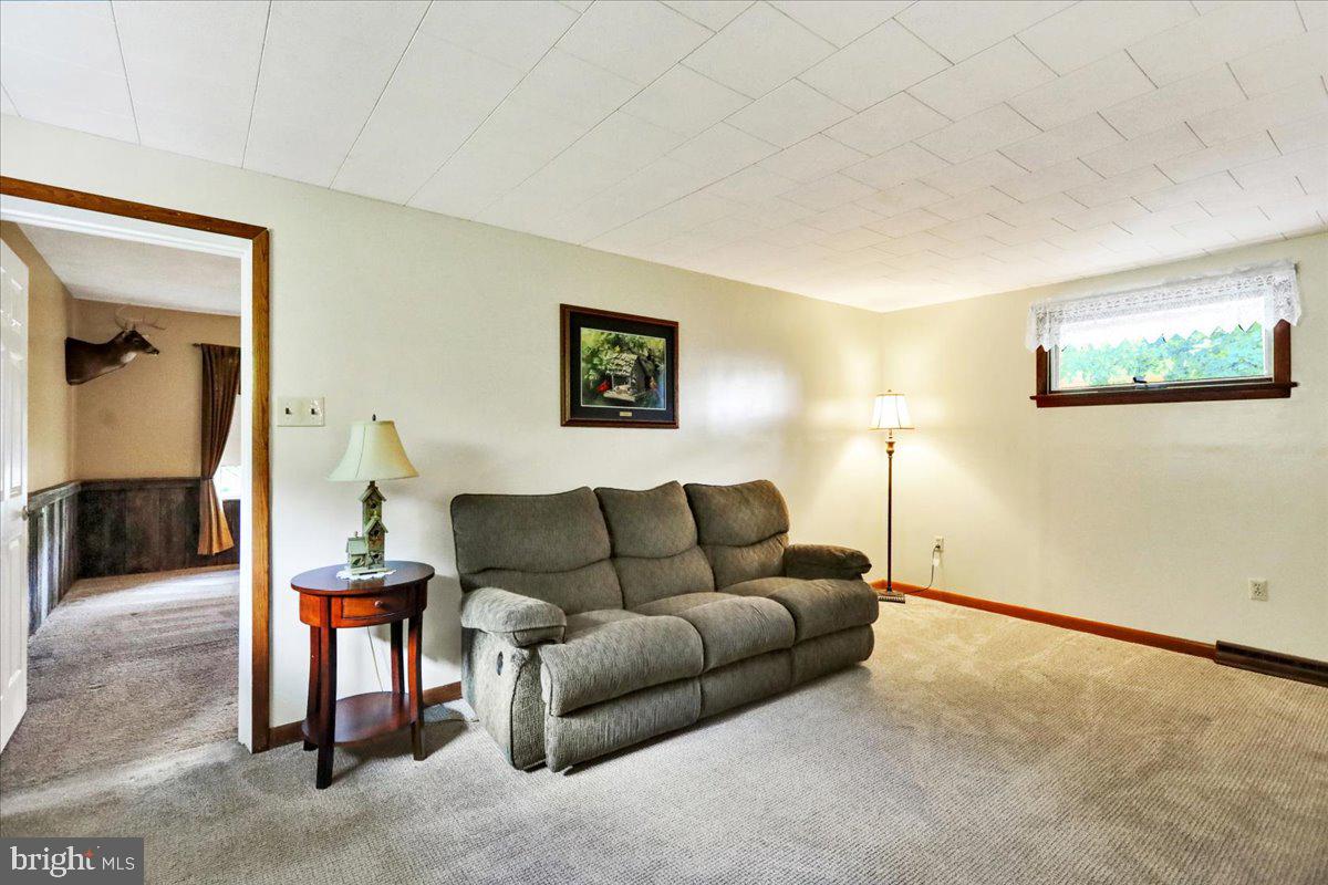 518 Spring Valley Road Reading, PA 19604 - Photo 14 of 49 a living room with furniture and a potted plant