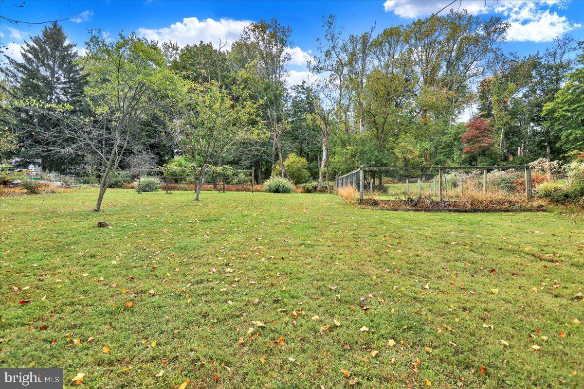 518 Spring Valley Road Reading, PA 19604 - Photo 39 of 49 a view of large trees with a backyard