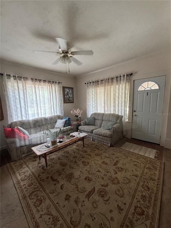 13232 Blissfield Road Odessa, FL 33556 - Photo 24 of 35