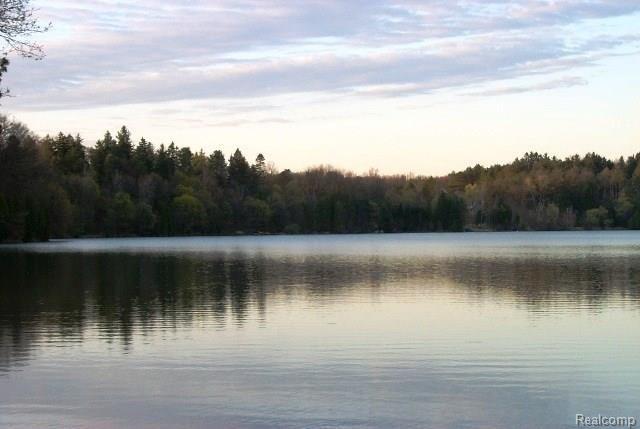 2274 Addaleen Road Highland, MI 48357 - Photo 43 of 43 Dunham Lake (3).JPG
