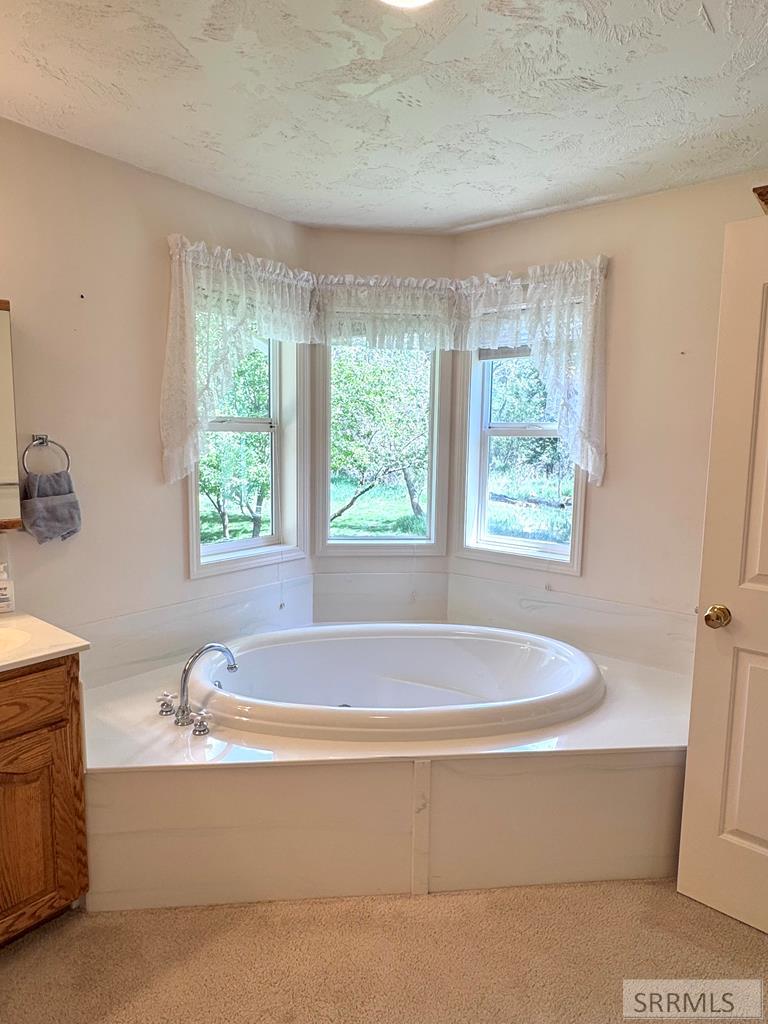 486 North 4154 East Rigby, ID 83442 - Photo 31 of 88 Primary Bathroom