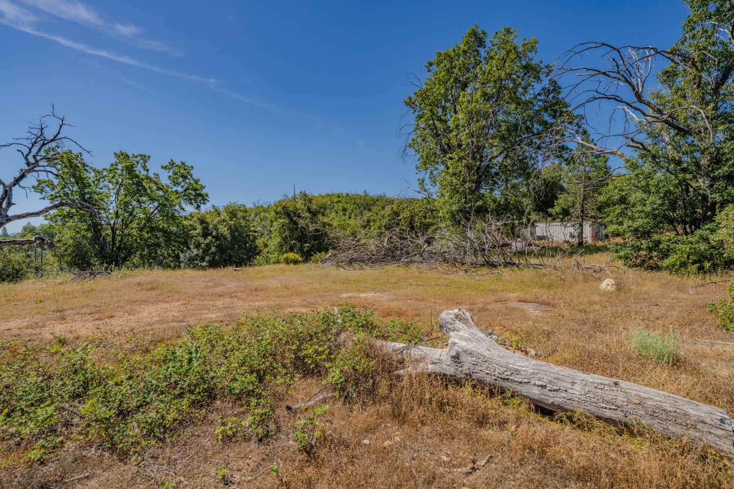 7256 Nikki Mountain Ranch Mountain Ranch, CA 95246 - Photo 12 of 27