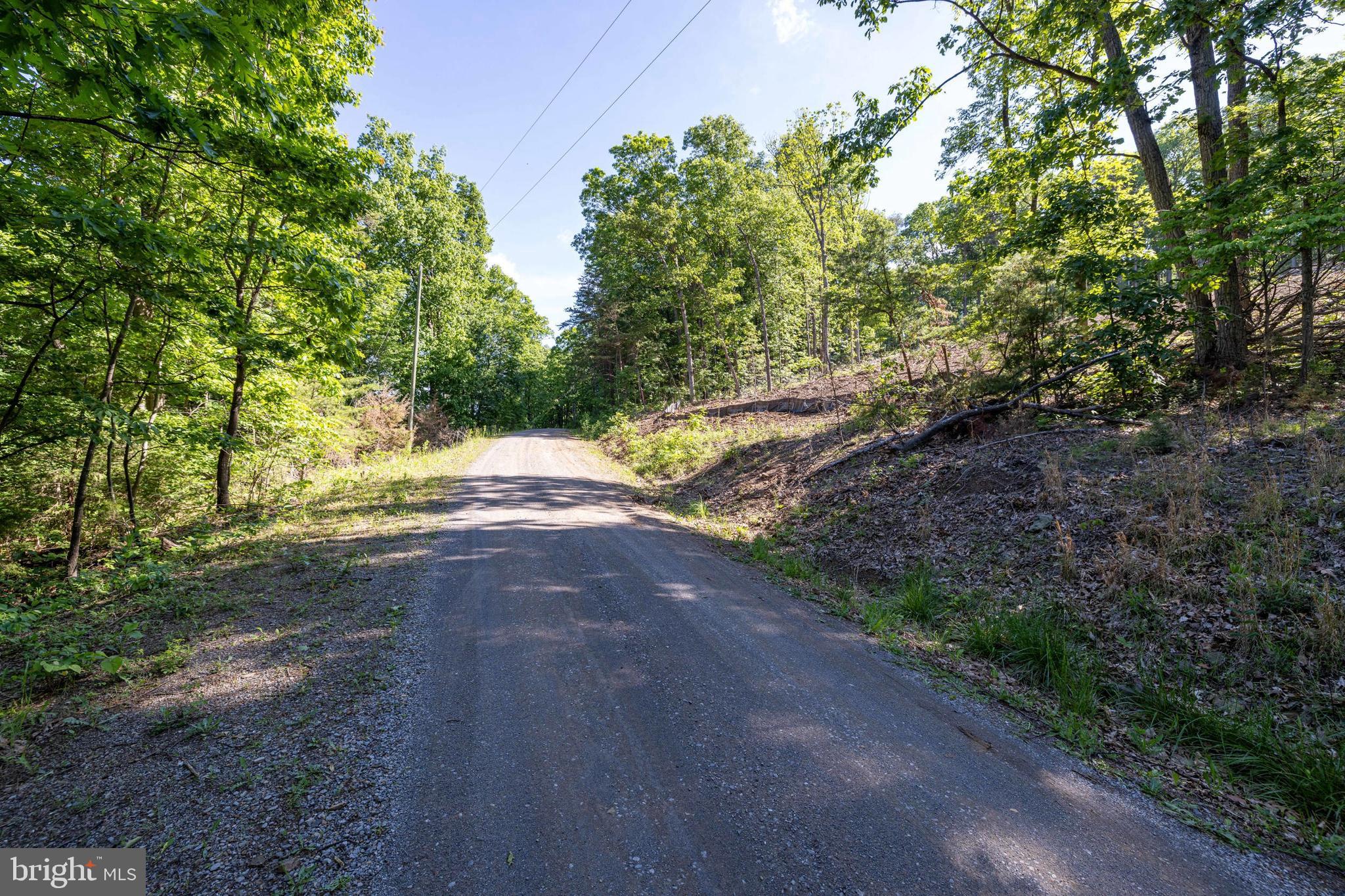 0 Cross Mountain Road Luray, VA 22835 - Photo 46 of 51