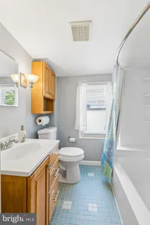 a bathroom with a sink a toilet and a bathtub