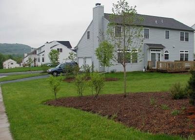 4002 Sutton Road Easton, PA 18045 - Photo 5 of 5 Lovely landscaped corner lot with views of the mountainside.