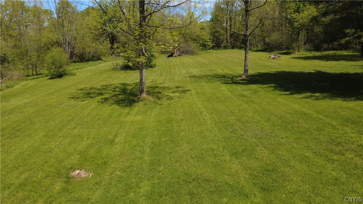 0 Brown Road Adams, NY 13605 - Photo 6 of 30