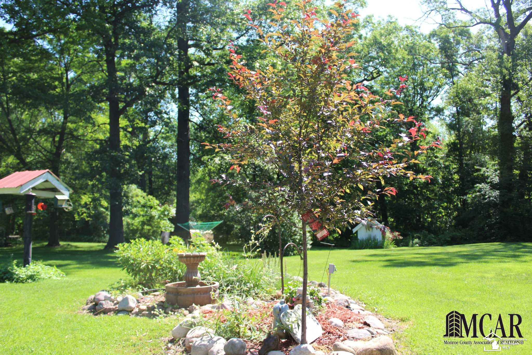 12780 West Dunbar Road Dundee, MI 48131 - Photo 8 of 35