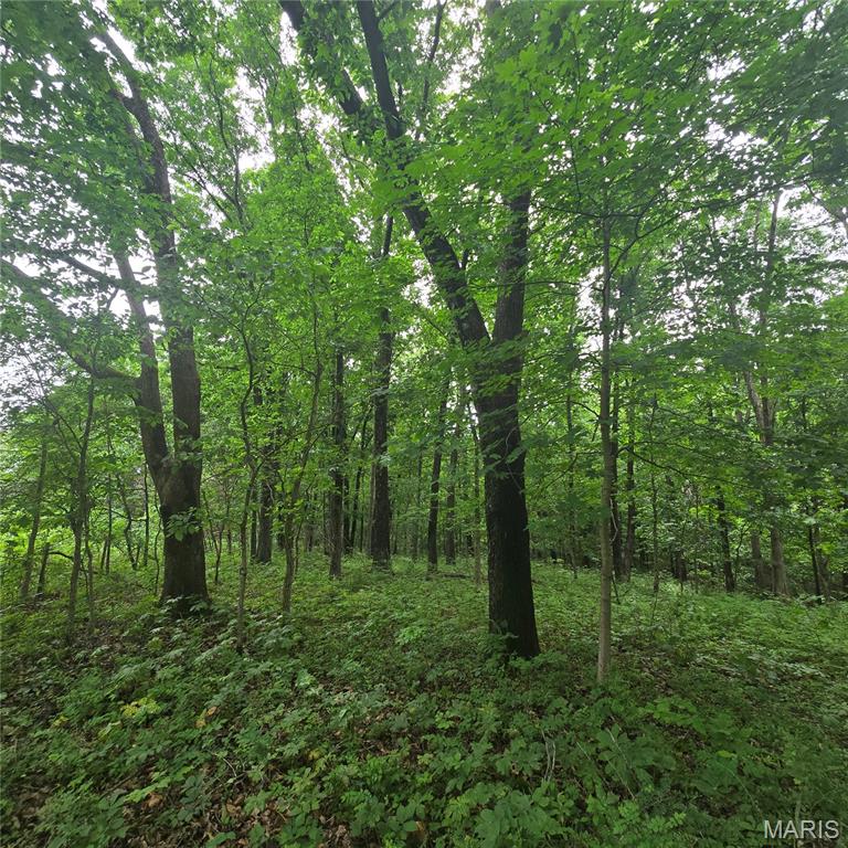 14809 East Knox Road Mount Vernon, IL 62864 - Photo 13 of 31