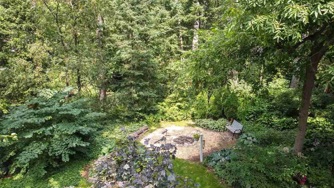 4716 Spring Creek Road Rockford, IL 61114 - Photo 45 of 50 a view of a forest with a tree