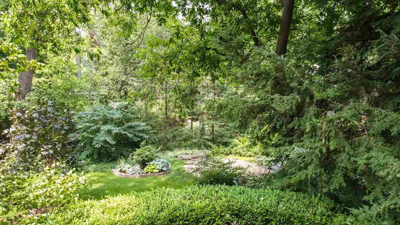 4716 Spring Creek Road Rockford, IL 61114 - Photo 46 of 50 a view of a lush green forest