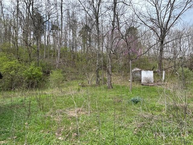 619 Felicity Cedron Rural Road Felicity, OH 45120 - Photo 12 of 15