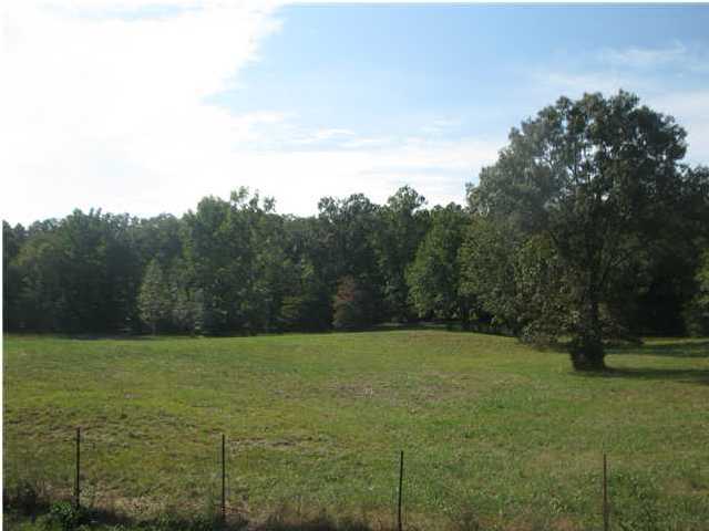 0 Cloverdale Road, Unit 2 Rising Fawn, GA 30738 - Photo 1 of 4 Primary Photo