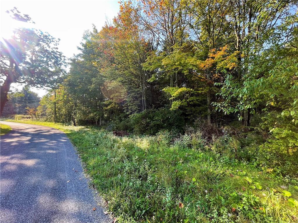 A Sulfer Run Road Berlin, PA 15530 - Photo 8 of 9 Gallery Image 8