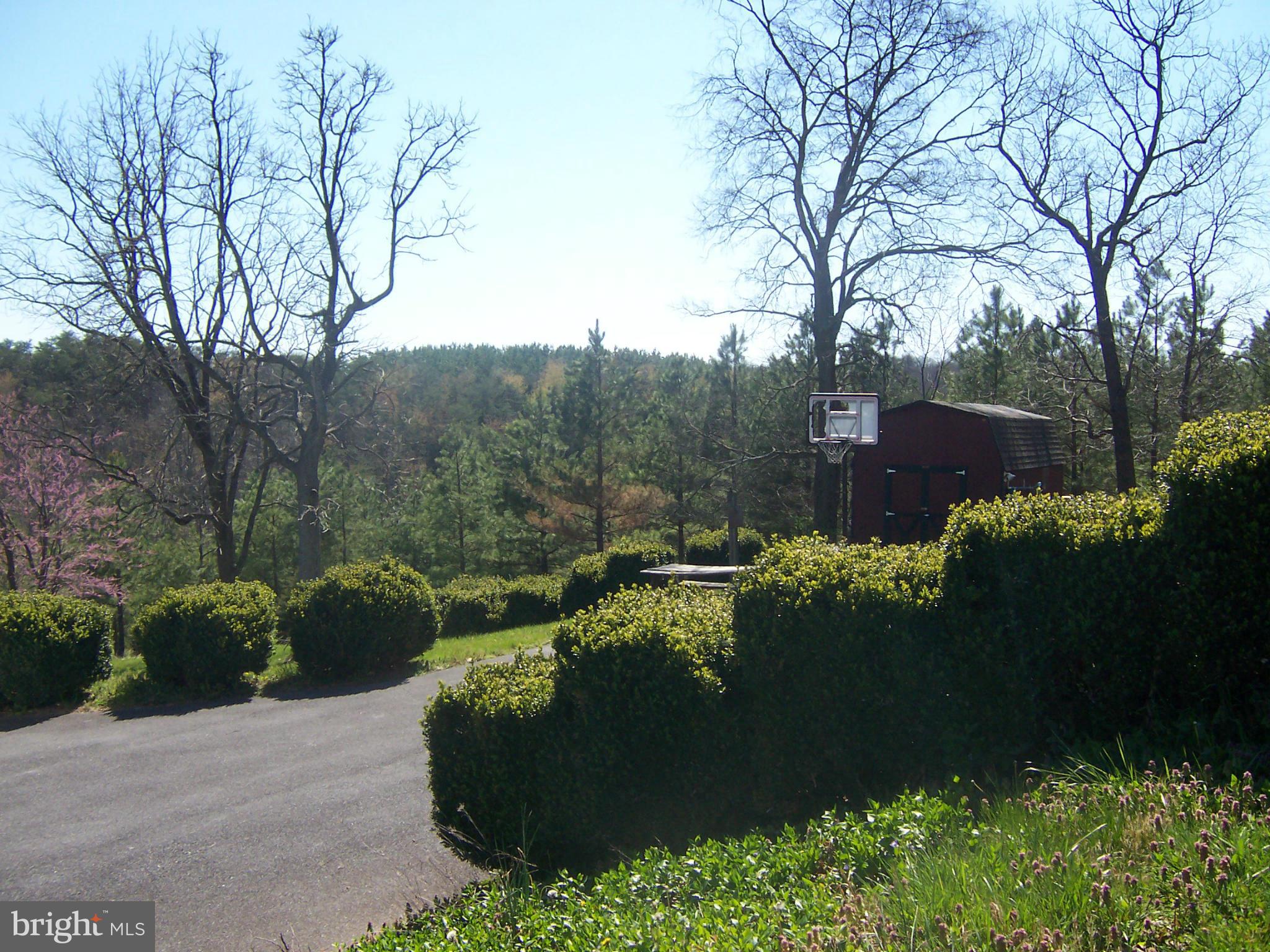 1564 Jordan Springs Road Stephenson, VA 22656 - Photo 3 of 5 View