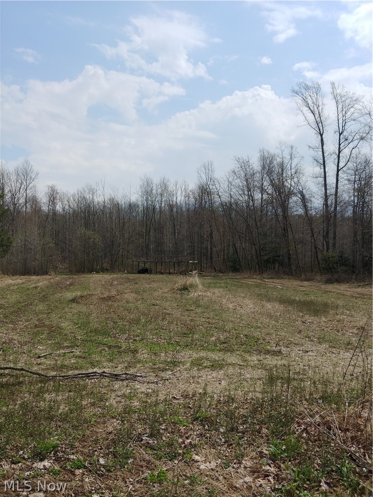 2389 Green Road Madison, OH 44057 - Photo 3 of 15
